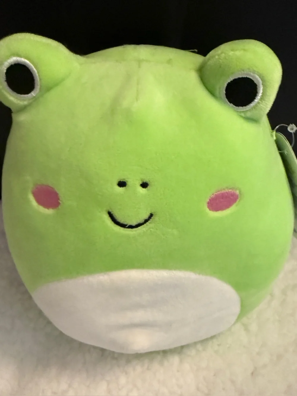 Green Frog Plush Pet Toy - Soft Cute Frog Plushie